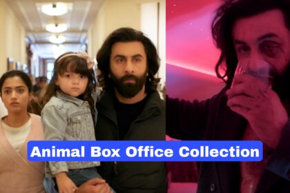 Animal Box Office Collection