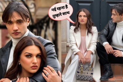 Himanshi Khurana Breakup