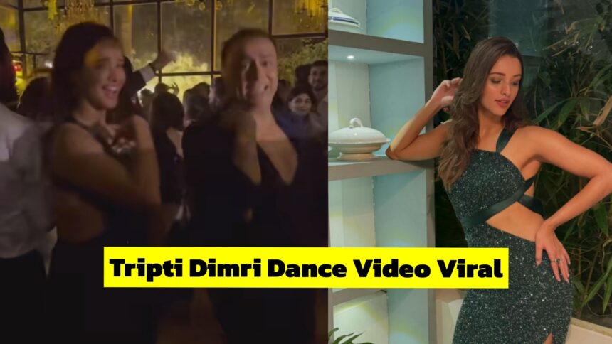 Tripti Dimri Dance Video