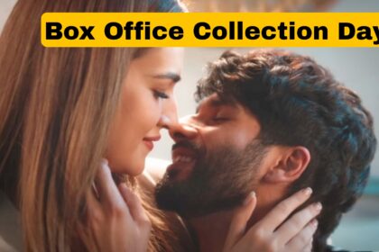 Teri Baaton Mein Aisa Uljha Jiya Box Office Collection Day 9