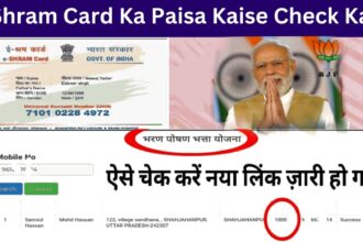 E Shram Card Ka Paisa Kaise Check Kare 2024